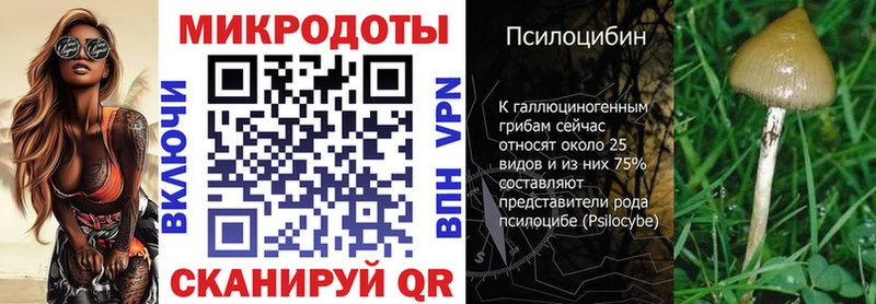 Галлюциногенные грибы MAGIC MUSHROOMS  Козловка 